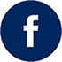 Facebook Circle Icon Blue SIg Size