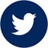 Twitter Circle Icon blue sig size